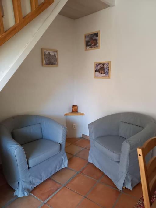 Comps Sur Artuby, Le Tilleul Et Le Four, Jabron Comps-sur-Artuby Exterior foto